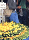 The scene at your local farmer's market probably won't change much because of new organic standards, but to label produce "organic" — like the summer squash and zucchini in this photo — sellers will have to meet strict standards.